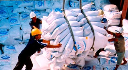 Cơ hội cho xuất khẩu gạo 2011 ảnh 1