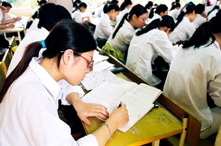 Hướng nghiệp còn thiếu chuyên nghiệp ảnh 1