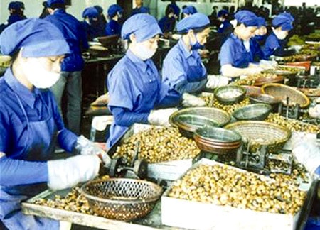 Thách thức xuất khẩu 2011 ảnh 1