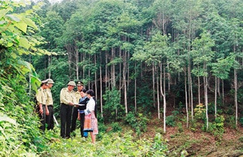 Người Bru - Vân Kiều với hệ thống các luật tục cụ thể và chi tiết trong việc bảo vệ các nguồn tài nguyên thiên nhiên