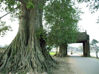 Hương ước của làng có thể xem như là một hệ thống luật tục. Nguồn: cinet.gov.vn