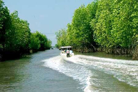 Mức nước biển dâng nào tại đồng bằng sông Cửu Long? ảnh 2