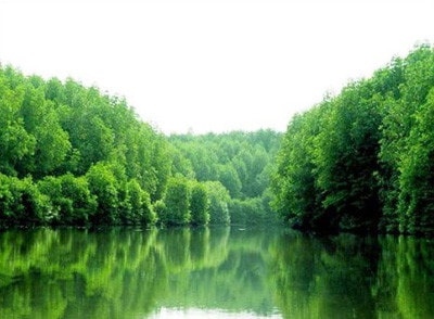 Về <I>đất dữ</I> Cần Giờ ảnh 1