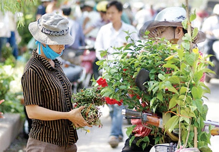 Chợ Mơ của người Kẻ Mơ ảnh 1