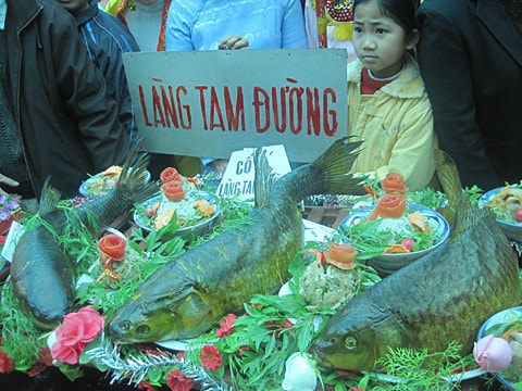 Cỗ cá làng Tam Đường đoạt giải Nhất cuộc thi