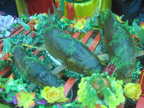 Cỗ cá dự thi của các làng