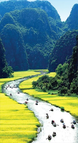 Đường vào Tam Cốc