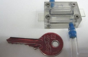 Chíp phát hiện nhanh chất độc ảnh 1
