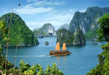 Nguồn: vietnamhalong