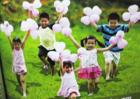 Quy mô dân số không vượt quá 93 triệu người vào năm 2015 ảnh 1