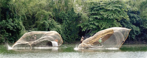 Quăng lưới Ảnh: Nguyễn Quang Tuấn