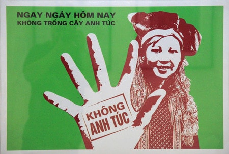 Tác phẩm “Ngay ngày hôm nay không trồng cây anh túc”