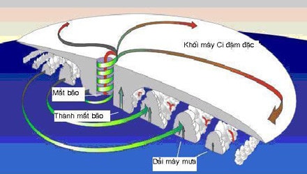 H1: Cấu trúc đặc trưng của bão