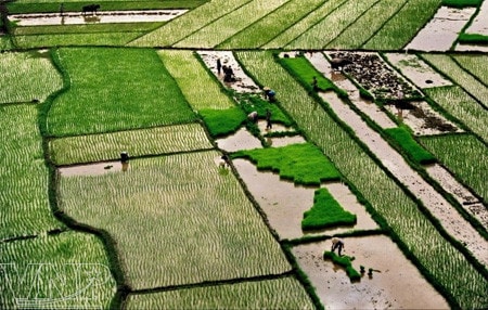 Nguồn: vnanet.vn