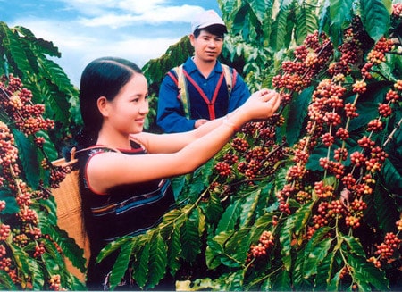 Nguồn:vatgia.vn