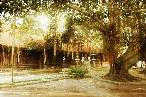 Chùa Bút Tháp - một danh thắng ở Thuận Thành, Bắc Ninh Mái chùa cổ kính với nét kiến trúc cong vút lên Mặt trước của chùa - vẻ đẹp nguyên sơ Một công trình cấu tạo khung gỗ có 3 tầng mái Quần thể kiến trúc chùa Bút Tháp bao gồm 8 đơn nguyên chạy song hành và được bao bọc bởi hai dãy hành lang chạy dọc Dãy hành lang bên trái chùa Điểm nhấn kiến trúc của chùa là tháp Bảo Nghiêm Du khách viếng thăm chùa phải đi qua cánh cổng nhỏ Pho tượng Quan Thế Âm nghìn mắt nghìn tay bằng gỗ lớn nhất Việt Nam