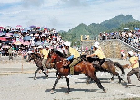 Đua ngựa trên cao nguyên trắng ảnh 2