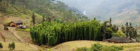 Ảnh: Nguyễn Quang Tuấn