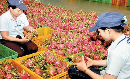 Nguồn: vnanet.vn