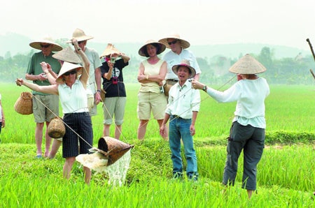 Nguồn: tourism.vn