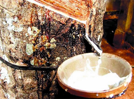 Nguồn: kinhdoanhnet.vn