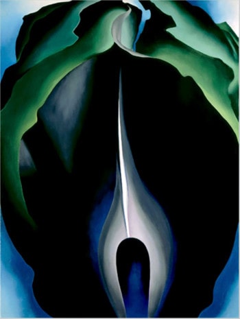 Jack-in-the-Pulpit số IV, sơn dầu của Georgia O’Keeffe, vẽ năm 1930, hiện lưu giữ tại Bảo tàng Nghệ thuật Quốc gia Mỹ, Washington, DC
