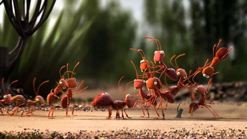 Hoạt hình ngắn mà hay ảnh 2