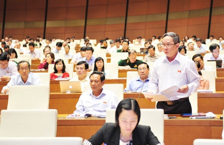 ĐBQH Nguyễn Hữu Đức (Đồng Tháp) phát biểu tại hội trường Ảnh: Quang Khánh