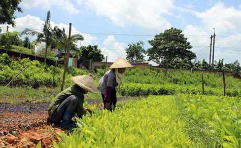 Nguồn: thanhtra.com.vn
