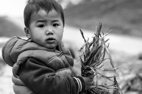 Nghề làm nón làng Chuông ảnh 3