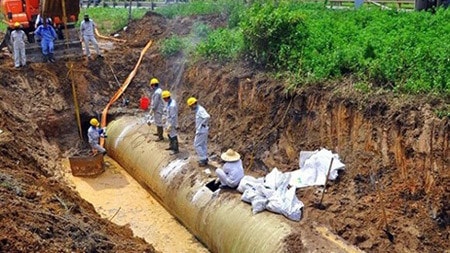 Nguồn: congly.com.vn