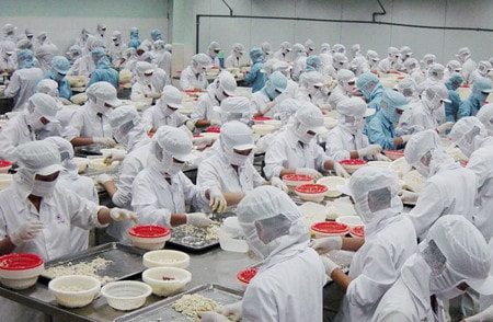 Nguồn: mailinhseafood.com