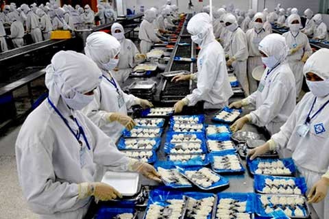 Các doanh nghiệp Việt Nam được lợi gì khi EVFTA có hiệu lực? ảnh 1