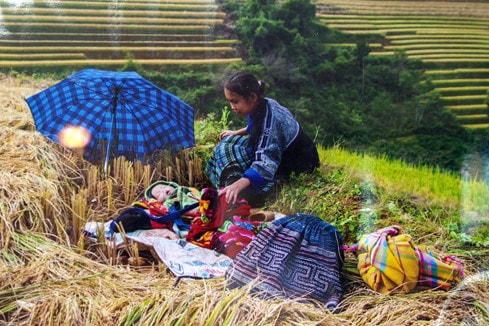 Triển lãm ảnh Mái ấm gia đình Việt ảnh 9