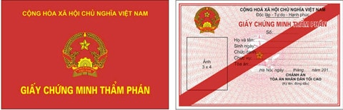 Mẫu số 6, Mẫu số 7