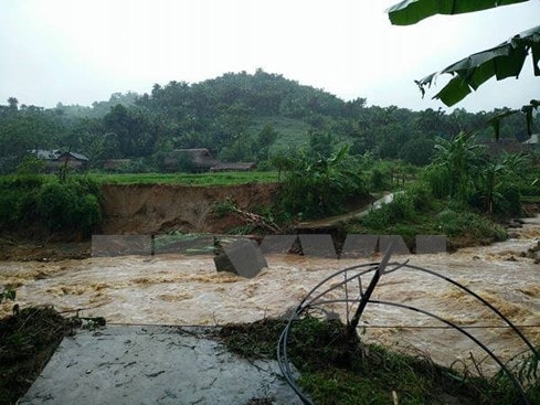 (Ảnh minh họa: Hương Thu/TTXVN)
