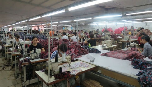 Nguồn vốn vay giải quyết việc làm đã tạo việc làm thường xuyên cho hàng nghìn lao động tại chỗ, mở hướng thoát nghèo cho nhiều hộ dân ở khu vực nông thôn