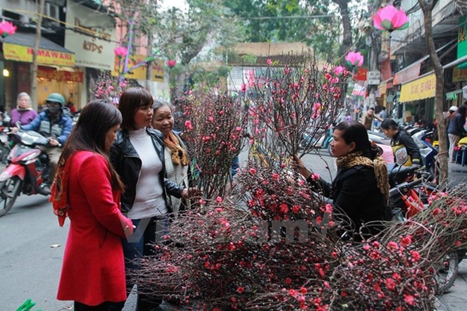 Nguồn: vietnam+
