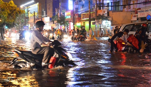 Quy hoạch vùng TP Hồ Chí Minh theo hướng phát triển lên phía Bắc, hạn chế phát triển xuống phía Nam và Tây Nam nhằm tránh ngập úng