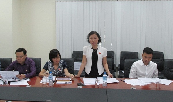 Trưởng đoàn giám sát Phạm Thị Thanh Mai phát biểu tại buổi làm việc