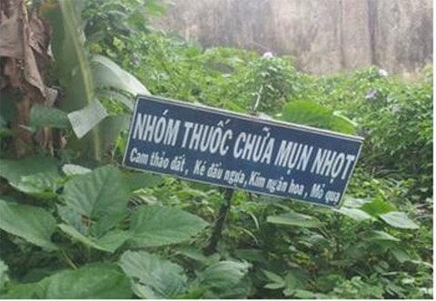 Ảnh minh họa (Nguồn skhcn.kontum.gov.vn)