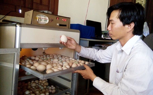Anh Phúc đầu tư 4 tủ ấp trứng nhân tạo bằng lò ấp điện với tỷ lệ thành công từ 60-70% (Ảnh: Nhật Trường)