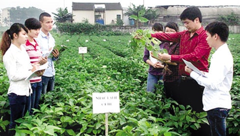 Hội thảo về kỹ năng làm khuyến nông