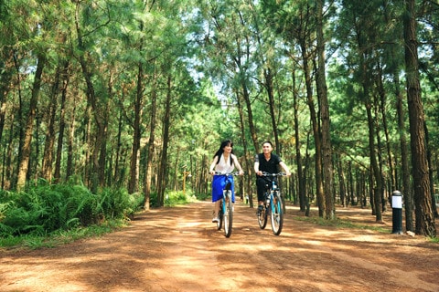 Một góc Flamingo Đại Lải Resort