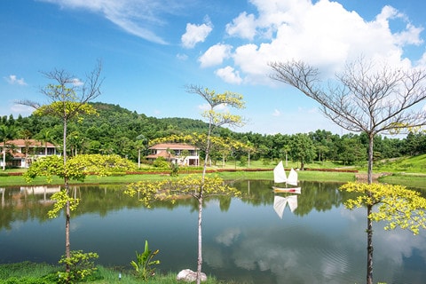 Một góc Flamingo Đại Lải Resort