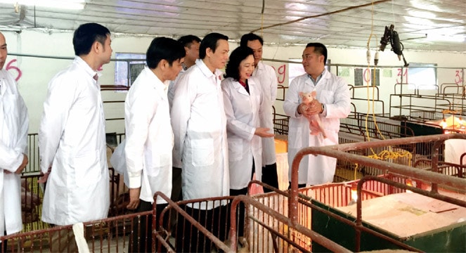 Ủy viên Trung ương Đảng, Phó Bí thư Thường trực Thành ủy Ngô Thị Thanh Hằng thăm mô hình trang trại xanh tại xã Lệ Chi Ảnh: Đào Cảnh