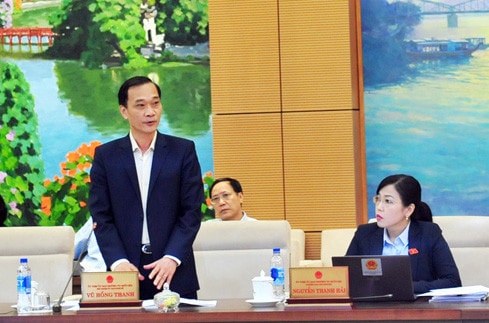 Chủ nhiệm Ủy ban Kinh tế Vũ Hồng Thanh phát biểu Ảnh: Quang Khánh