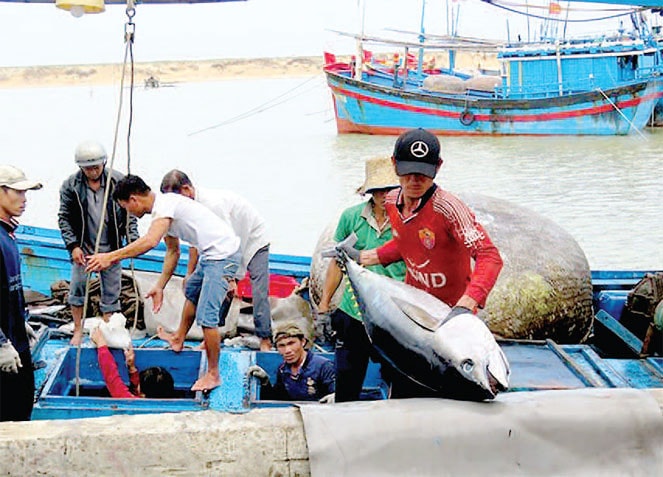 Nguồn: nhandan.com.vn
