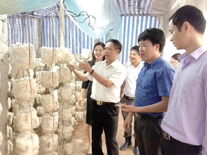 Tổ công tác giúp việc BCĐ Chương trình 02 kiểm tra tiến độ thực hiện Chương trình tại huyện Đan Phượng Ảnh: Đào Cảnh