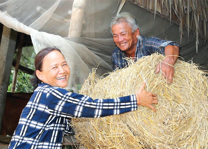 Vốn chính sách giúp nhiều nông dân Tây Nam Bộ thoát nghèo